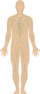 Lymphstau